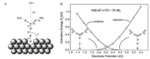 Insight into the Important Solid/Liquid Double Layer from First-Principles Calculations Fig. 1