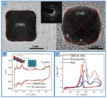 Electrochemical Preparations and Applications of Nano-Catalysts with High-Index Facets Fig. 6