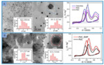 Electrochemical Preparations and Applications of Nano-Catalysts with High-Index Facets Fig. 7