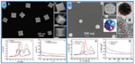 Electrochemical Preparations and Applications of Nano-Catalysts with High-Index Facets Fig. 9