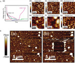 Atomic Force Microscopic Characterization of Solid Electrolyte Interphase in Lithium Ion Batteries Fig. 7