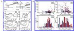 Atomic Force Microscopic Characterization of Solid Electrolyte Interphase in Lithium Ion Batteries Fig. 9