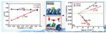 Insight into the Important Solid/Liquid Double Layer from First-Principles Calculations Fig. 5