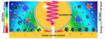 In-Situ Raman Spectroscopic Study of Electrochemical Reactions at Single Crystal Surfaces Fig. 1