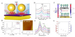 In-Situ Raman Spectroscopic Study of Electrochemical Reactions at Single Crystal Surfaces Fig. 3