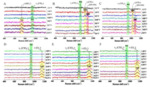 In-Situ Raman Spectroscopic Study of Electrochemical Reactions at Single Crystal Surfaces Fig. 4