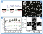 Electrochemical Preparations and Applications of Nano-Catalysts with High-Index Facets Fig. 4