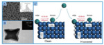 Electrochemical Preparations and Applications of Nano-Catalysts with High-Index Facets Fig. 5