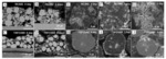 Research Progresses in Ni-Co-Mn/Al Ternary Concentration Gradient Cathode Materials for Li-Ion Batteries Fig. 7