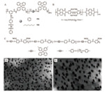 Research Progresses in Polymeric Proton Exchange Membranes for Fuel Cells Fig. 2