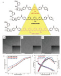 Research Progresses in Polymeric Proton Exchange Membranes for Fuel Cells Fig. 3