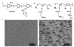 Research Progresses in Polymeric Proton Exchange Membranes for Fuel Cells Fig. 8