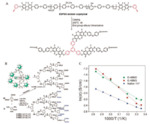 Research Progresses in Polymeric Proton Exchange Membranes for Fuel Cells Fig. 10