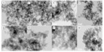 Effect of Nitrogen Content in Catalyst Precursor on Activity of FeN/C Catalyst for Oxygen Reduction Reaction Fig. 3