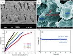 Recent Advances of CO2 Electrochemical Reduction in Solid Oxide Electrolysis Cells Fig. 5