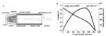 Direct Carbon Solid Oxide Fuel Cells Fig. 5