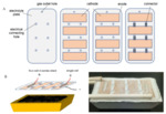 Direct Carbon Solid Oxide Fuel Cells Fig. 10