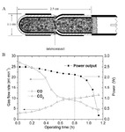 Direct Carbon Solid Oxide Fuel Cells Fig. 17