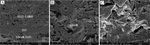 Preparation and Characterization of Cathode Supported Solid Oxide Fuel Cell Fig. 4