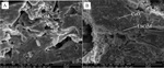 Preparation and Characterization of Cathode Supported Solid Oxide Fuel Cell Fig. 8