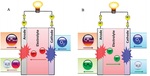 Research Progress in Ethane Dehydrogenation to Cogenerate Power and Value-Added Chemicals in Solid Oxide Fuel Cells Fig. 2