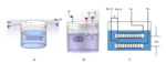 Electrochemical Response of A Single Wire-Electrode AC Probe in 3.5wt.% NaCl Fig. 1