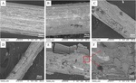 Electrochemical Response of A Single Wire-Electrode AC Probe in 3.5wt.% NaCl Fig. 5