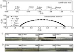 Electrochemical Response of A Single Wire-Electrode AC Probe in 3.5wt.% NaCl Fig. 9