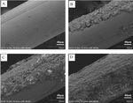 Electrochemical Response of A Single Wire-Electrode AC Probe in 3.5wt.% NaCl Fig. 11