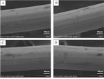 Electrochemical Response of A Single Wire-Electrode AC Probe in 3.5wt.% NaCl Fig. 12