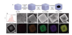 Synthesis and Raman Study of Hollow Core-Shell Ni1.2Co0.8P@N-C as an Anode Material for Sodium-Ion Batteries Fig. 1