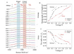 Synthesis and Raman Study of Hollow Core-Shell Ni1.2Co0.8P@N-C as an Anode Material for Sodium-Ion Batteries Fig. 6