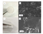 Poly(ethylene oxide) Based Polymer Electrolytes for All-Solid-State Li-S Batteries Fig. 1