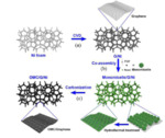 Ordered Mesoporous Carbon/Graphene/Nickel Foam for Flexible Dopamine Detection with Ultrahigh Sensitivity and Selectivity