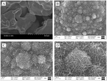 Preparations of Nano-MnOx/Ti Electrocatalytic Membrane Electrode for Catalytic Oxidation of Cyclohexane Using Intermittent Electrodeposition Fig. 2