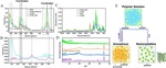 The Interaction of Ternary Components of Ionic Liquid Gel Polymer Electrolytes for Lithium Metal Batteries Fig. 2