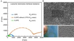 The Interaction of Ternary Components of Ionic Liquid Gel Polymer Electrolytes for Lithium Metal Batteries Fig. 4