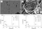 Electrochemical Oxidation of Metal Chromium in odium Hydroxide Aqueous Solution Fig. 6