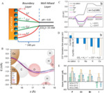 Electrolyte Tailoring for Electrocatalytic Reduction of Stable Molecules Fig. 2