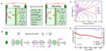 Electrochemical Energy Storage and Conversion Based on Organic Electrodes Fig. 1