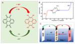 Electrochemical Energy Storage and Conversion Based on Organic Electrodes Fig. 5