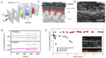 Electrochemical Carbon Dioxide Reduction in Flow Cells Fig. 2