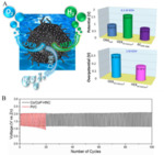 Recent Progress in Bifunctional Catalysts for Zinc-Air Batteries Fig. 14