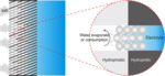 Porous Electrodes in Electrochemical Energy Storage Systems