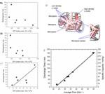 Porous Electrodes in Electrochemical Energy Storage Systems