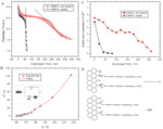 Porous Electrodes in Electrochemical Energy Storage Systems