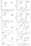 Porous Electrodes in Electrochemical Energy Storage Systems