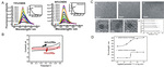 Electrochemical Engineering of Carbon Nanodots