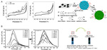 Electrochemical Engineering of Carbon Nanodots