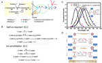 Electrochemical Engineering of Carbon Nanodots